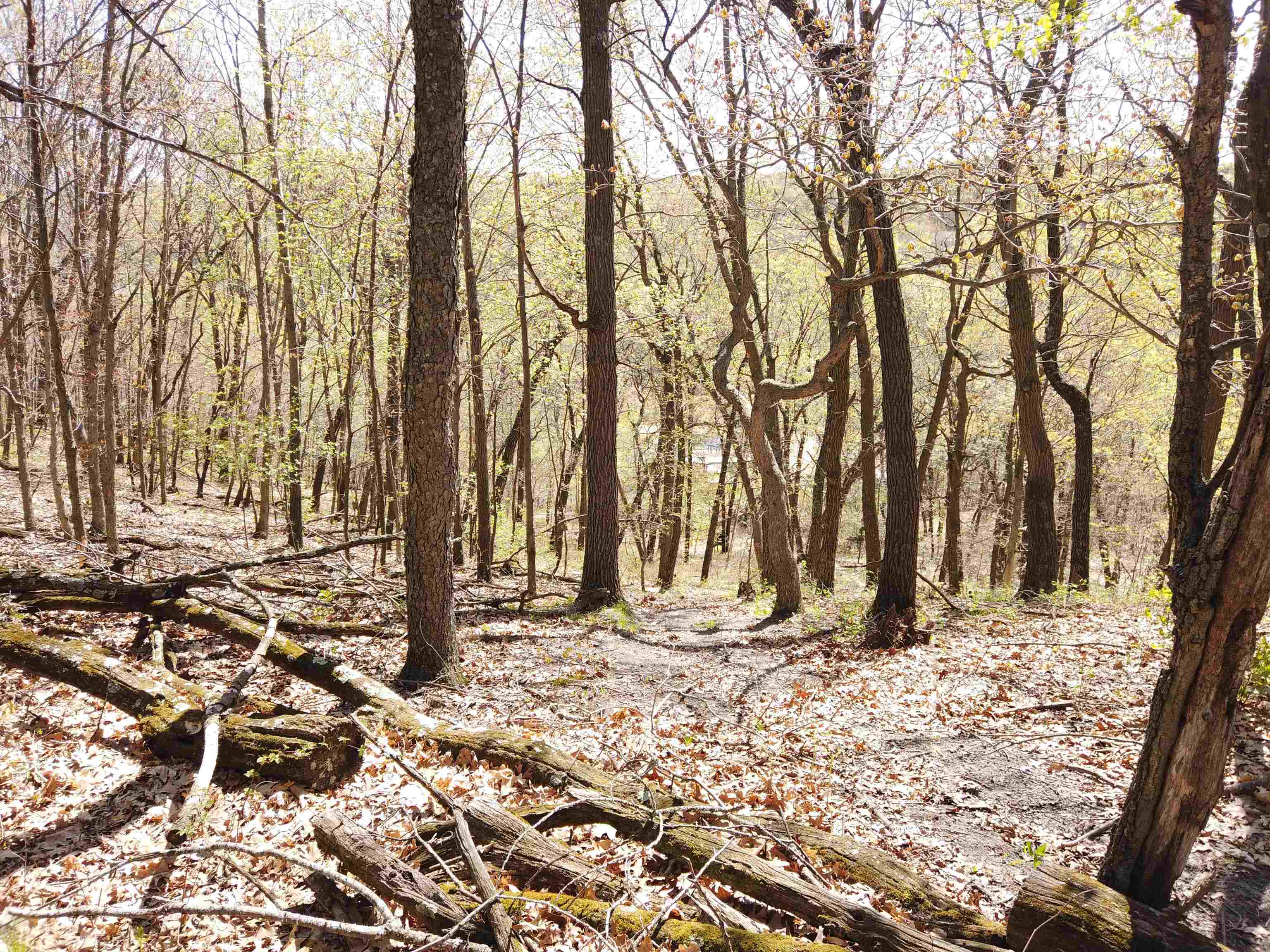 17511 Havenwood Road Sparta, WI 54656 - Photo 33 of 51