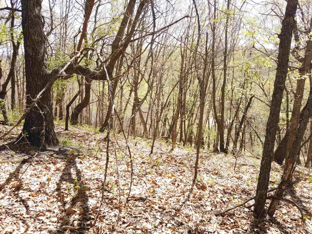 $209,900 | 17511 Havenwood Road, Sparta, WI 54656