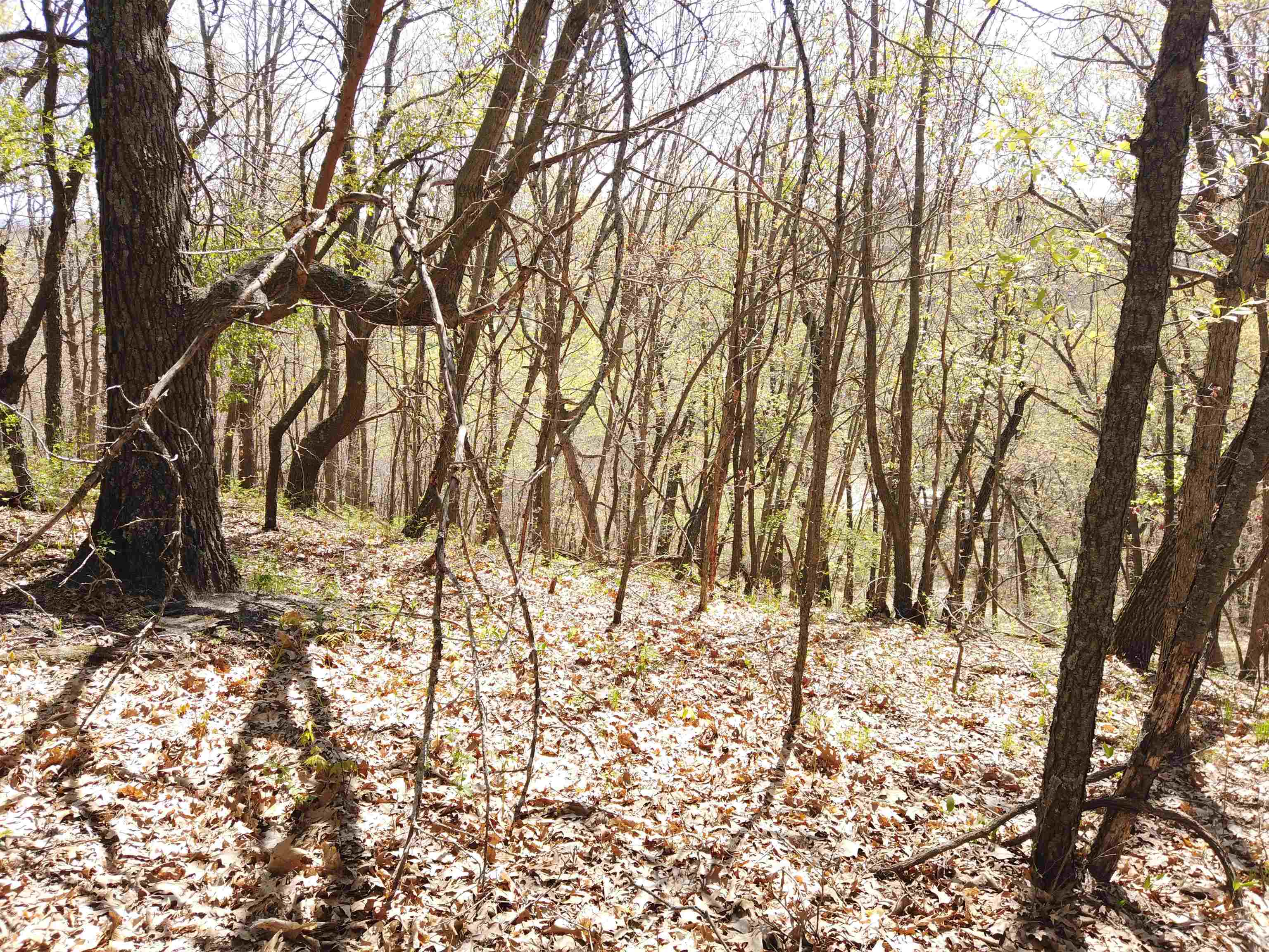 17511 Havenwood Road Sparta, WI 54656 - Photo 34 of 51