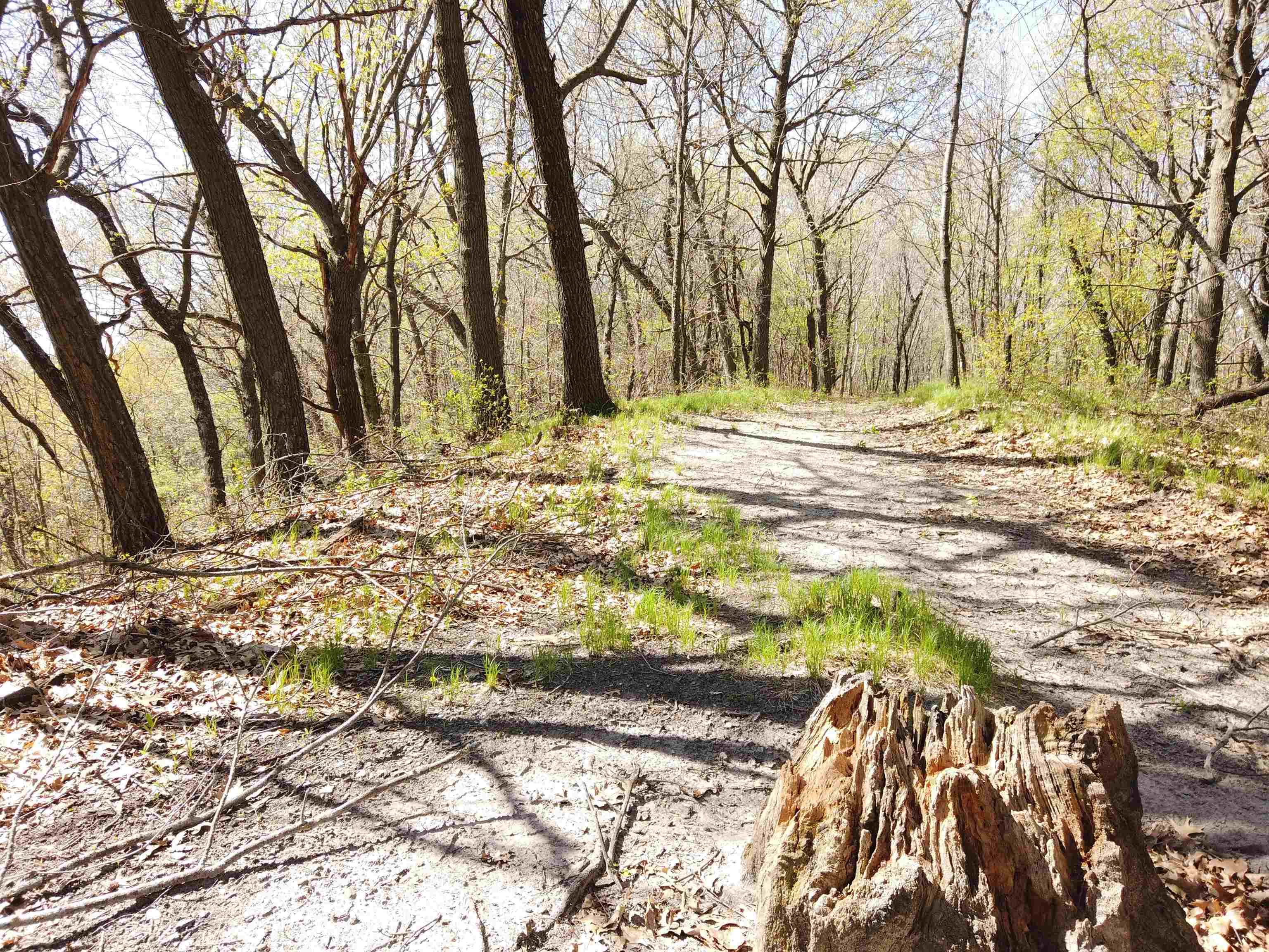 17511 Havenwood Road Sparta, WI 54656 - Photo 38 of 51