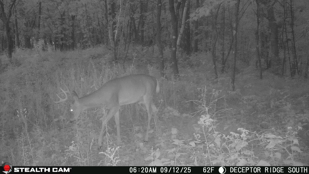 17511 Havenwood Road Sparta, WI 54656 - Photo 47 of 51