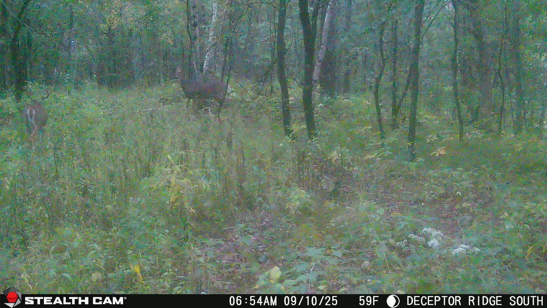 17511 Havenwood Road Sparta, WI 54656 - Photo 48 of 51