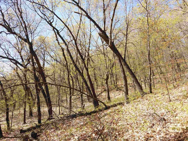 $209,900 | 17511 Havenwood Road, Sparta, WI 54656