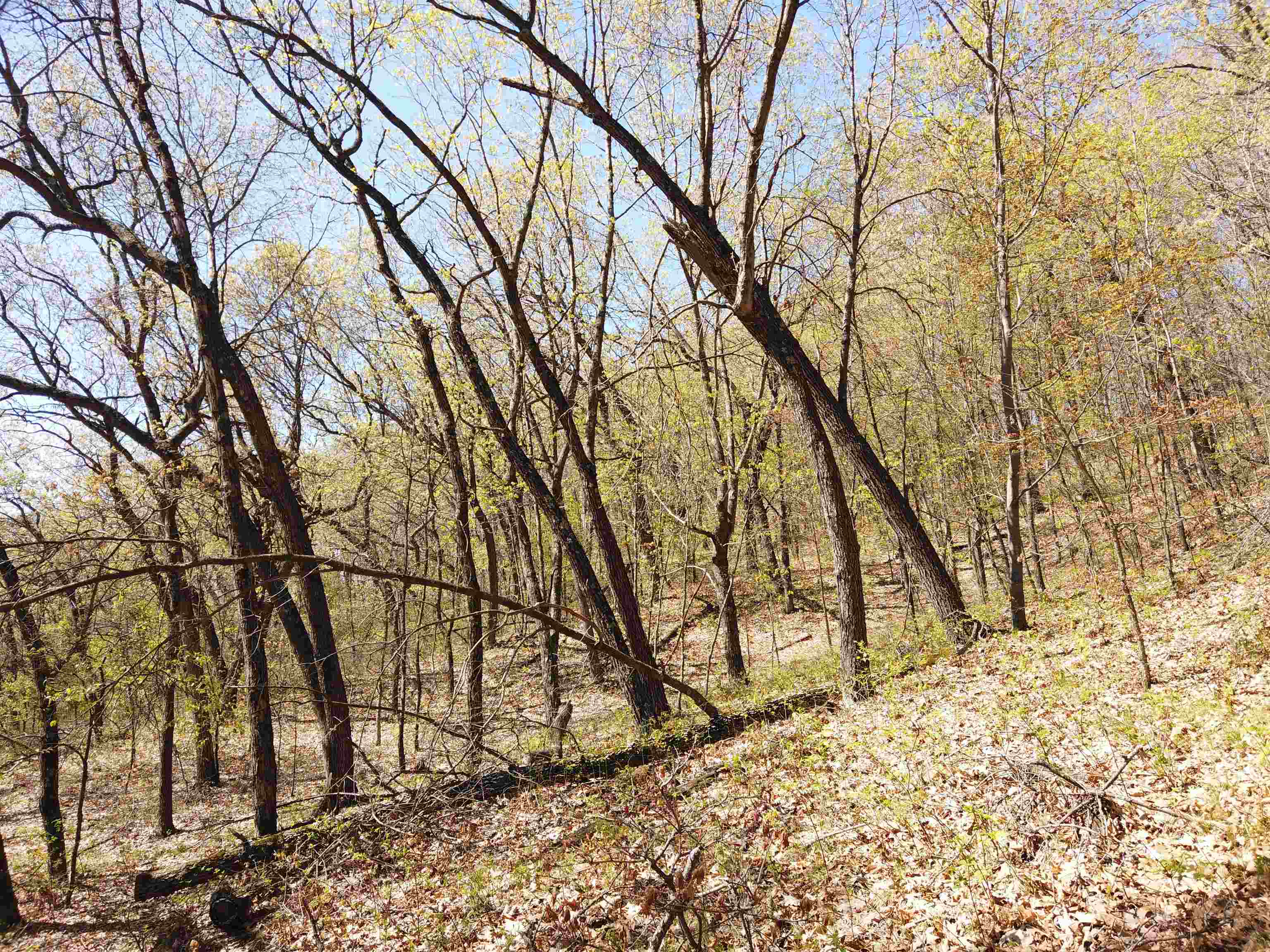 17511 Havenwood Road Sparta, WI 54656 - Photo 49 of 51