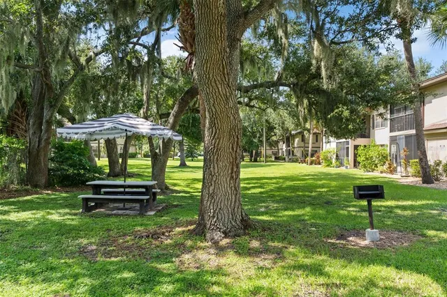 a view of a street with a bench and trees