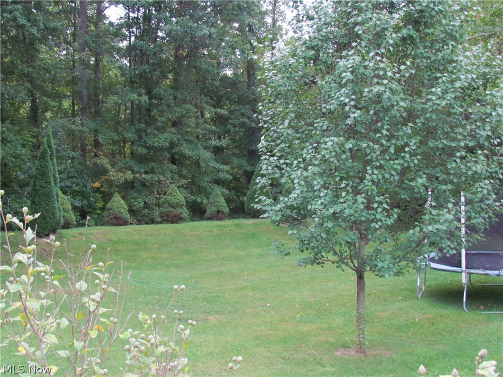 5506 Huff Road Berlin Heights, OH 44814 - Photo 16 of 19 Gallery Image 16