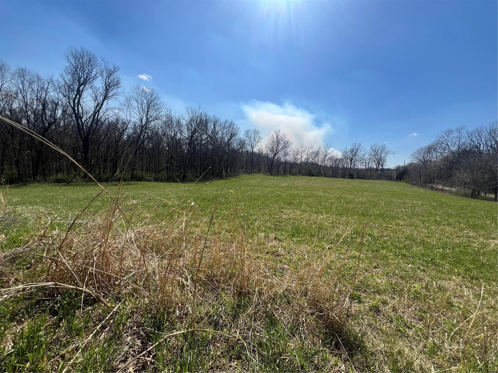 650 Gildea Road Potosi, MO 63664 - Photo 12 of 46