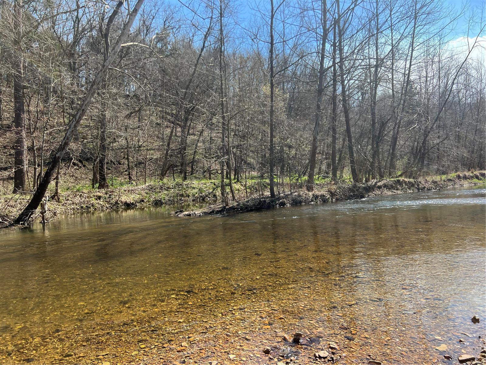 650 Gildea Road Potosi, MO 63664 - Photo 16 of 46