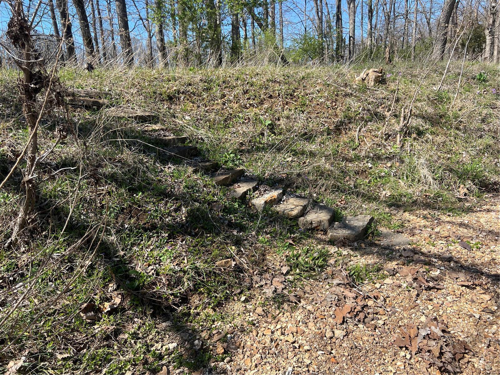 650 Gildea Road Potosi, MO 63664 - Photo 20 of 46