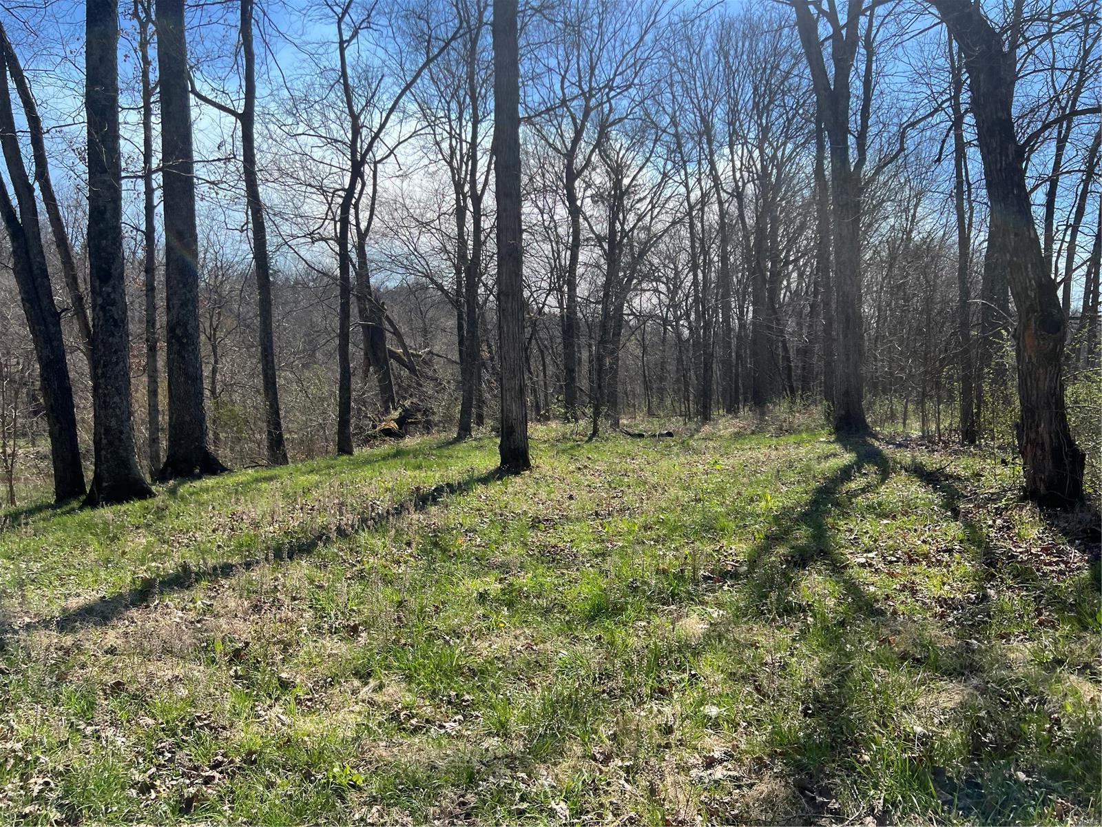 650 Gildea Road Potosi, MO 63664 - Photo 23 of 46