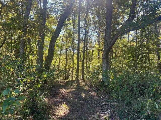 $425,750 | 650 Gildea Road, Potosi, MO 63664