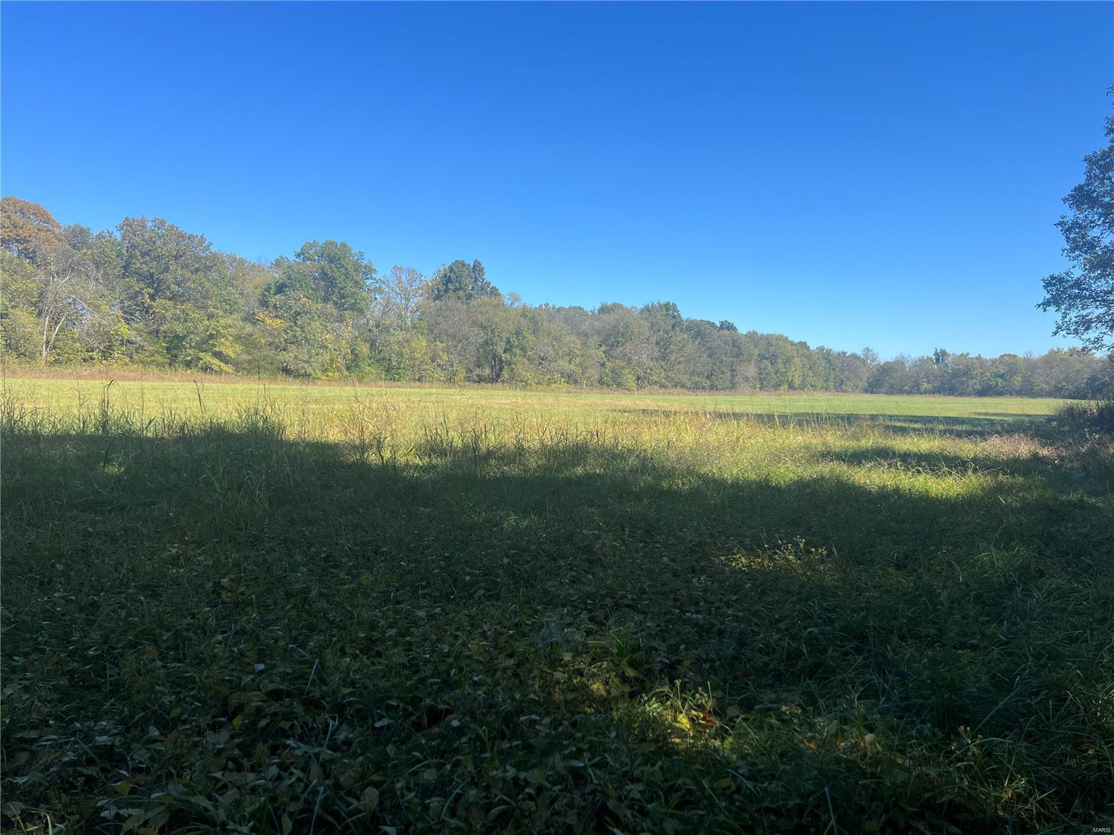 650 Gildea Road Potosi, MO 63664 - Photo 32 of 46