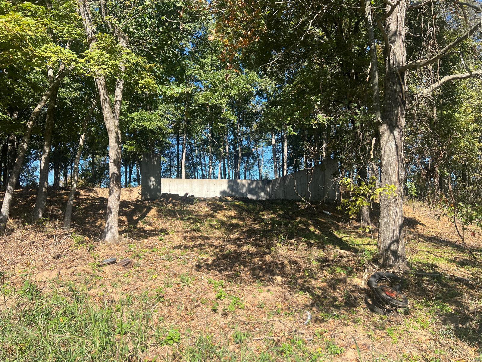 650 Gildea Road Potosi, MO 63664 - Photo 37 of 46