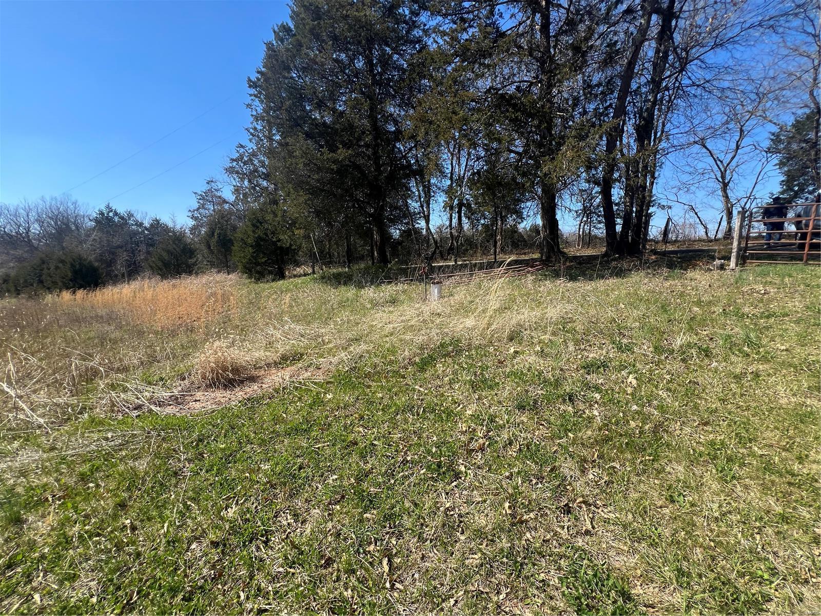 650 Gildea Road Potosi, MO 63664 - Photo 6 of 46