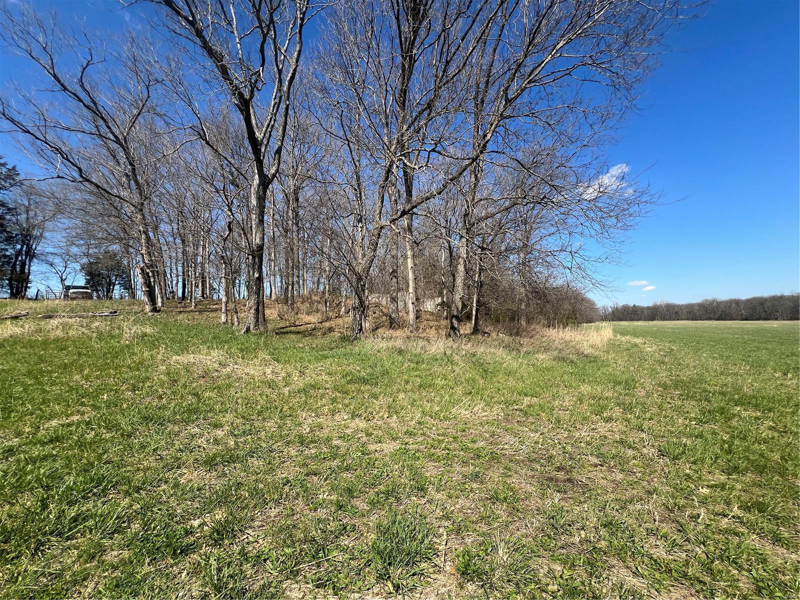 650 Gildea Road Potosi, MO 63664 - Photo 7 of 46