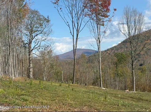 $2,000,000 | 11400 New York 23, Windham, NY 12496