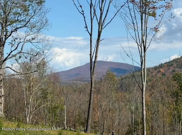 $2,000,000 | 11400 New York 23, Windham, NY 12496