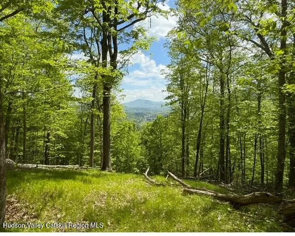 $2,000,000 | 11400 New York 23, Windham, NY 12496