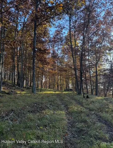 $2,000,000 | 11400 New York 23, Windham, NY 12496