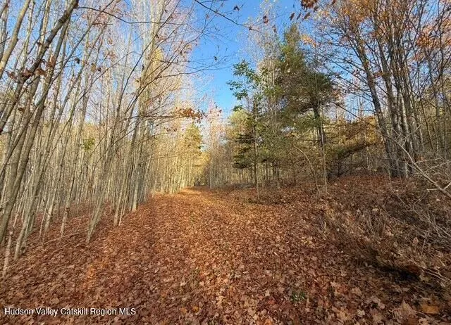 $2,000,000 | 11400 New York 23, Windham, NY 12496