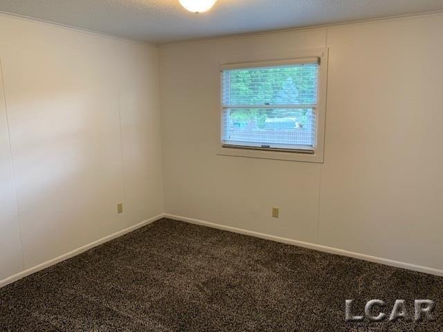 712 Company Street, Unit 2 Adrian, MI 49221 - Photo 7 of 7