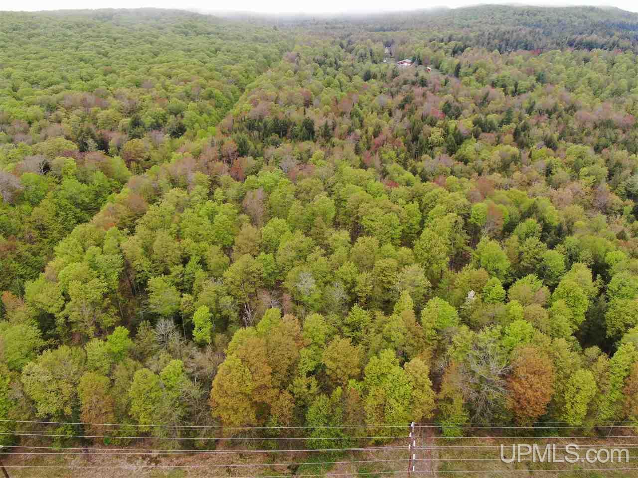 0 County Road 577 Road, Unit ANNA RIVER RDP Munising, MI 49862 - Photo 6 of 26