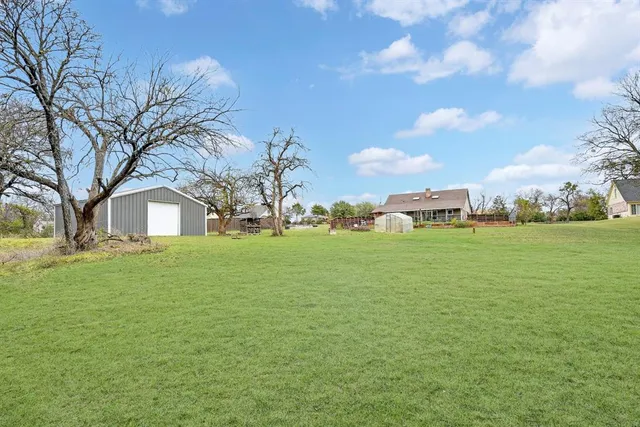 a view of a trees with a yard