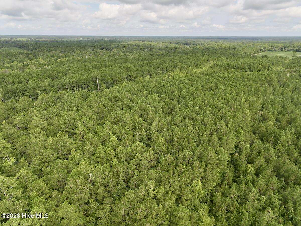0 Cupelo Road Farmville, NC 27828 - Photo 7 of 18 Gallery Image 7
