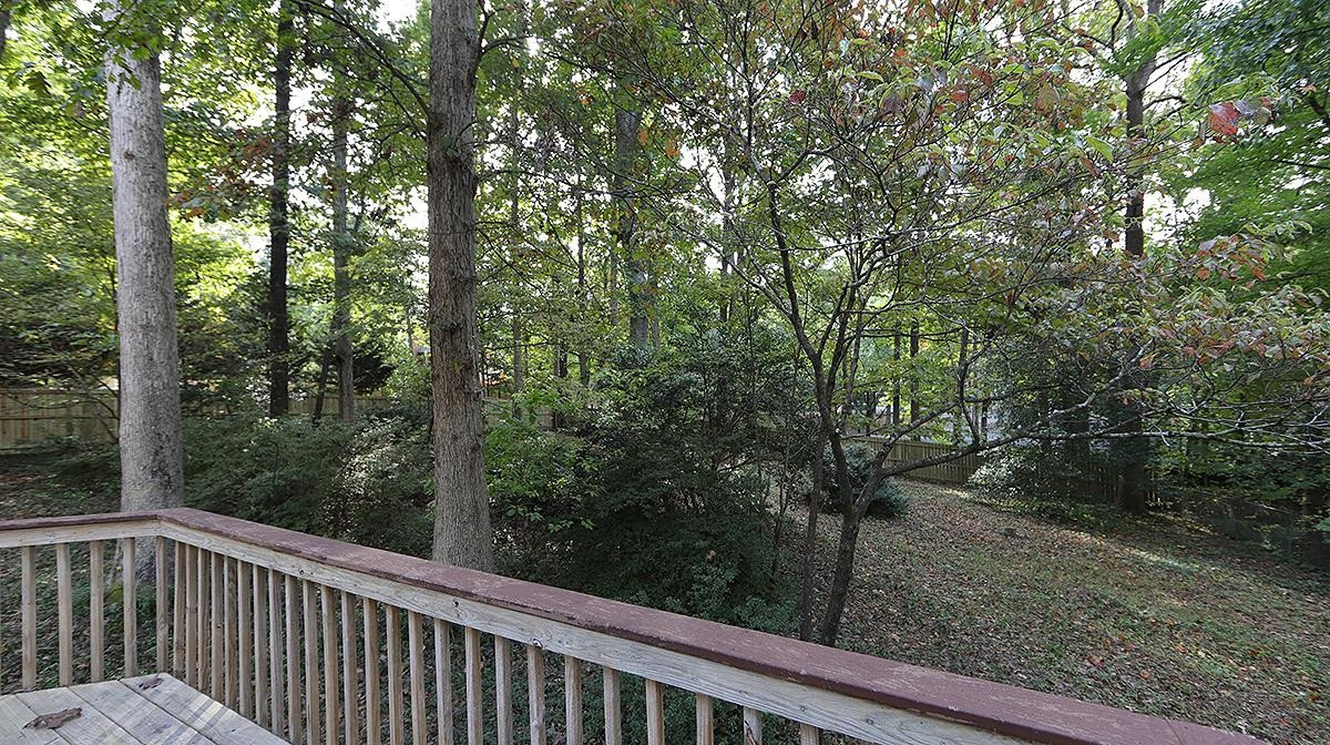 8700 Mourning Dove Road Raleigh, NC 27615 - Photo 29 of 30 One of the best lots in the neighborhood! Back Yard