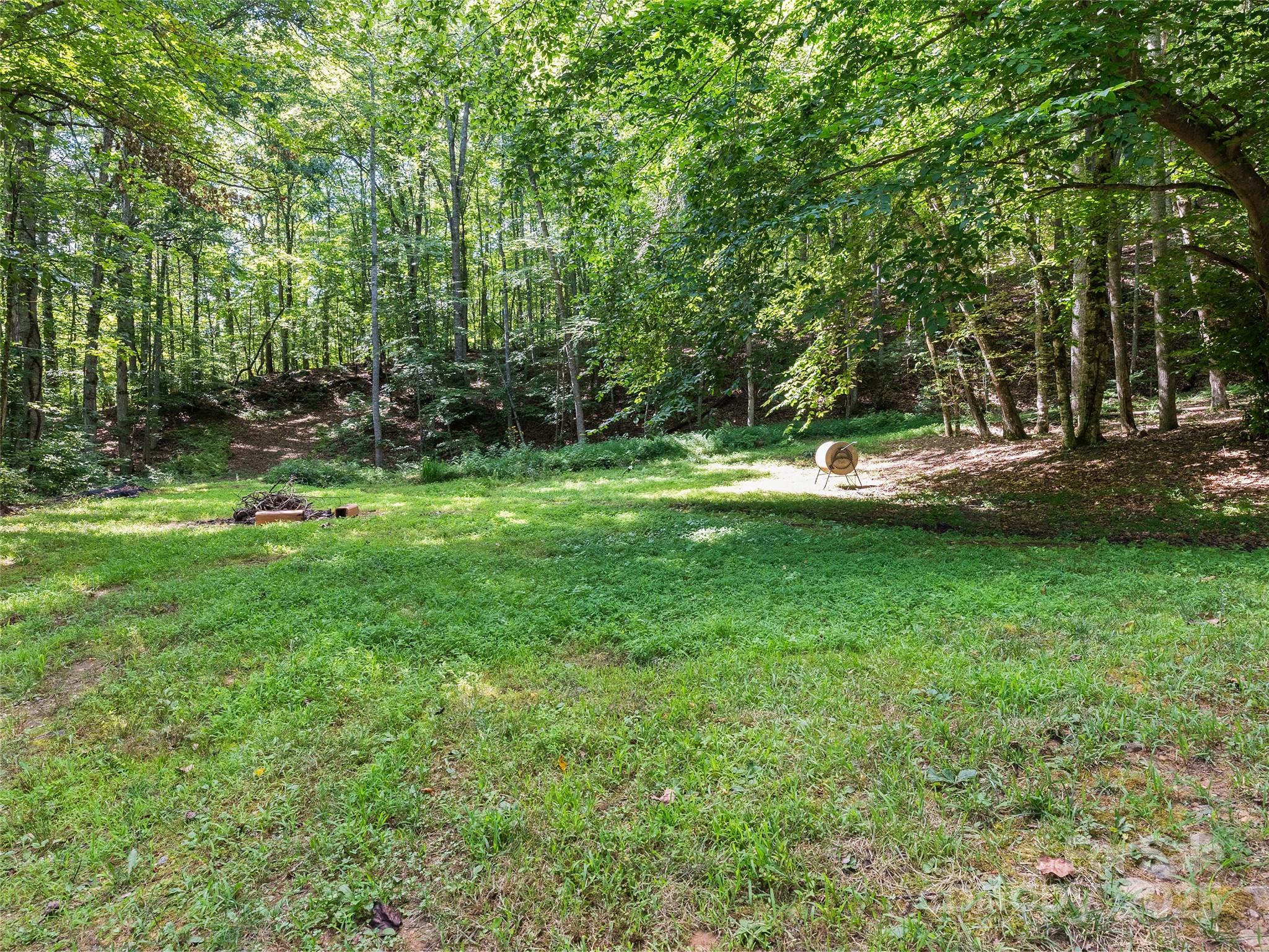 290 Turkey Pen Road Franklin, NC 28734 - Photo 35 of 37 a view of a park with large trees