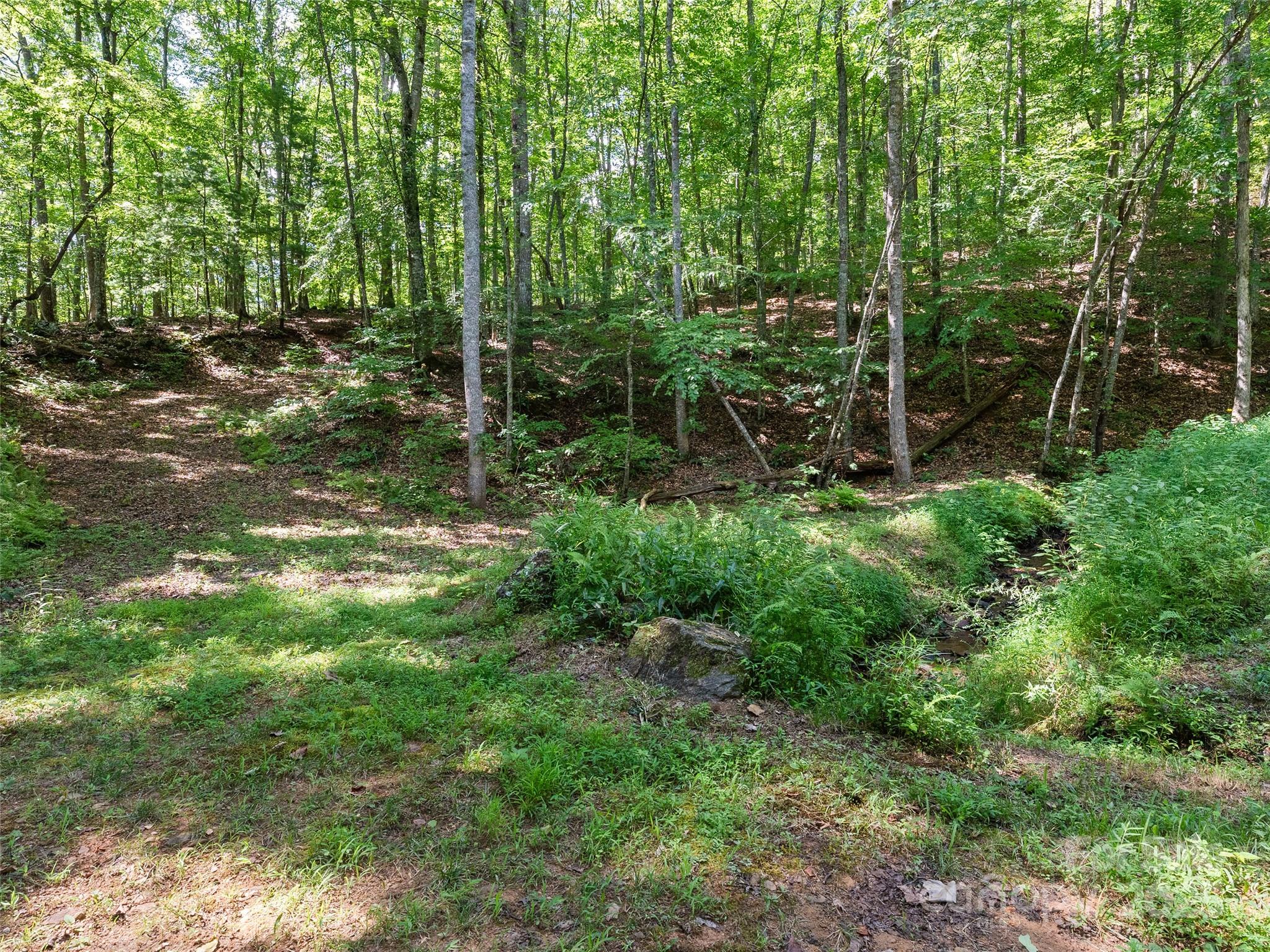 290 Turkey Pen Road Franklin, NC 28734 - Photo 36 of 37 a view of forest