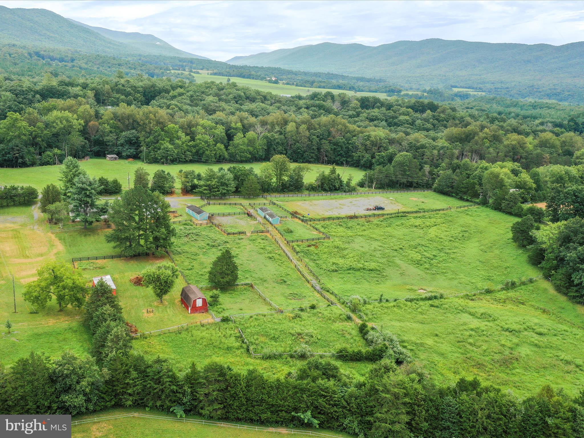 903 Coverstone Road Fort Valley, VA 22652 - Photo 45 of 75 a view of a lush green forest with trees and some houses
