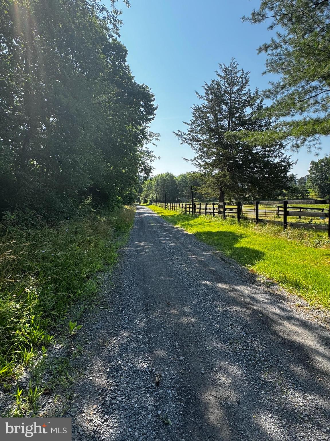 903 Coverstone Road Fort Valley, VA 22652 - Photo 5 of 75 At the end of a gravel road for privacy.