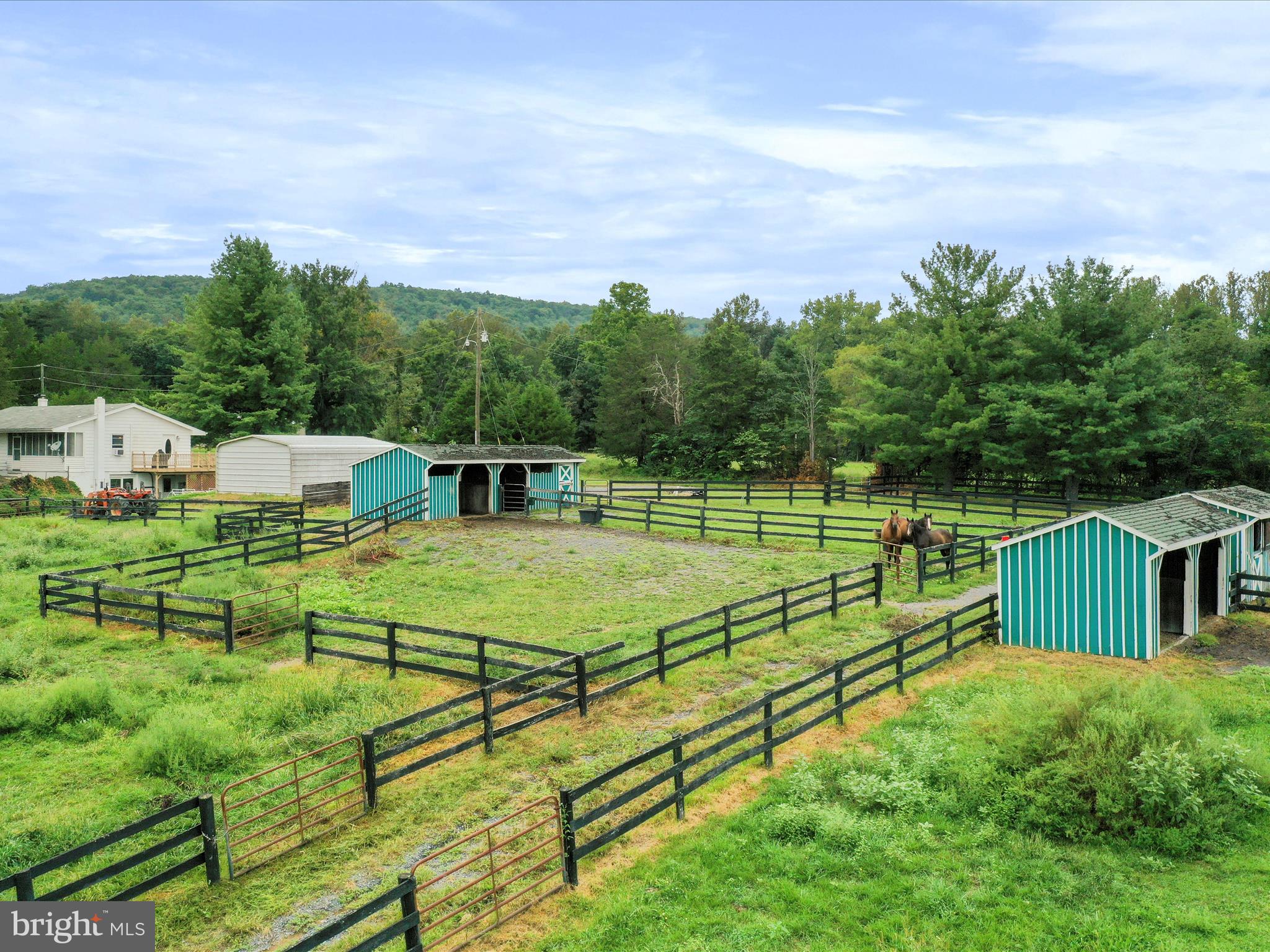 903 Coverstone Road Fort Valley, VA 22652 - Photo 54 of 75 a view of a house with pool and a yard