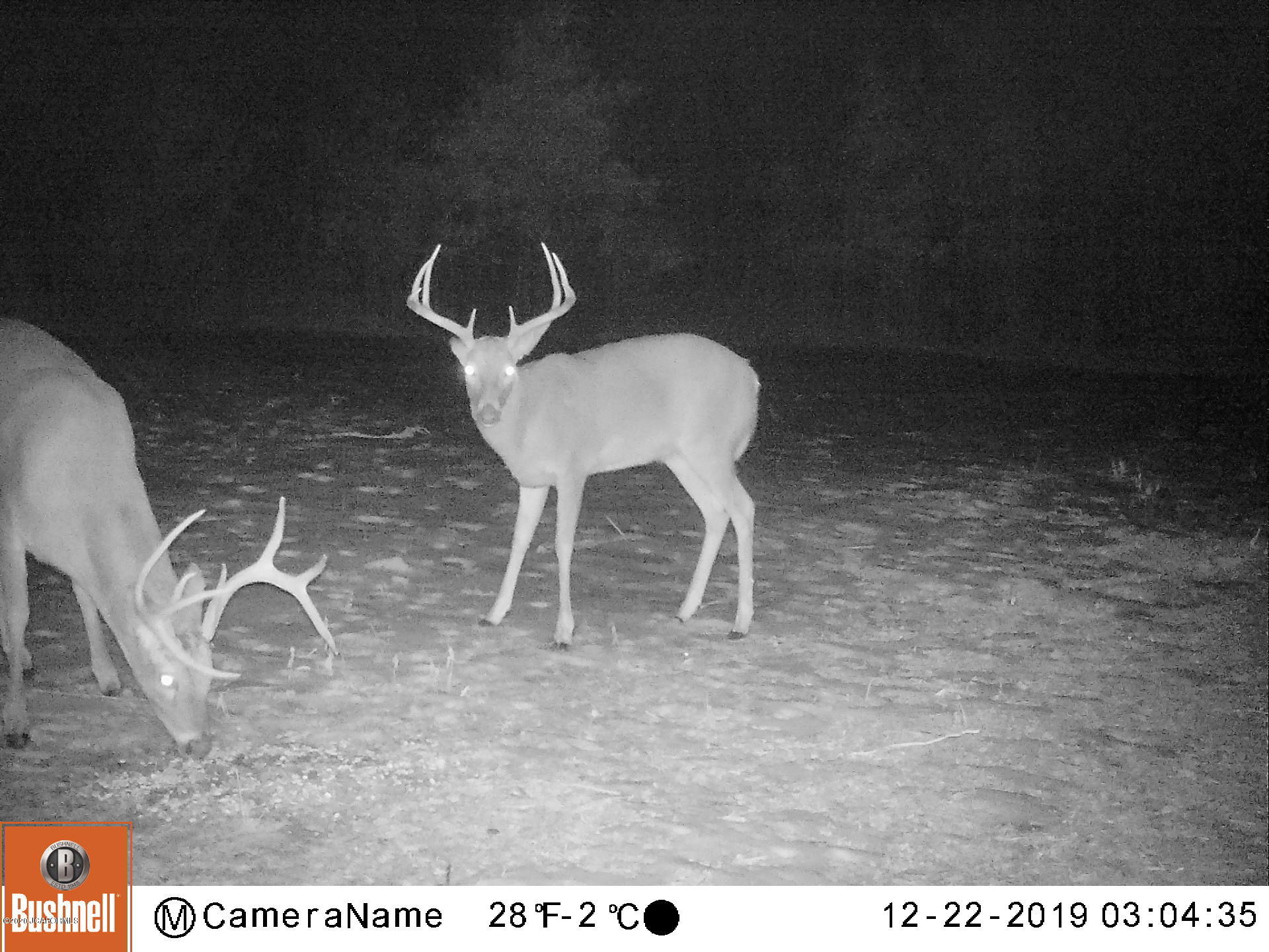 Tbd Paris Farm Road New Bloomfield, MO 65063 - Photo 2 of 9