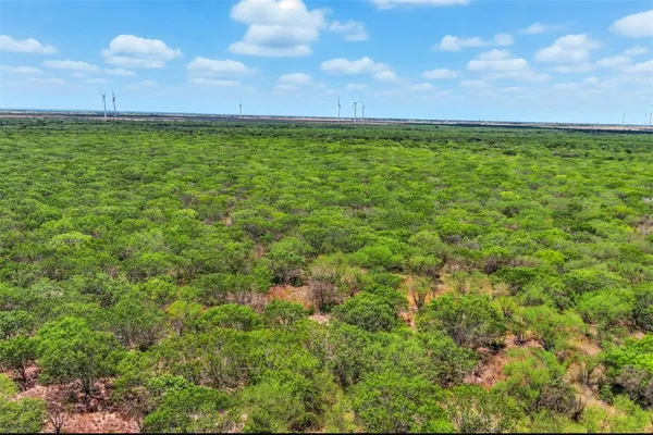 a view of a field with an ocean