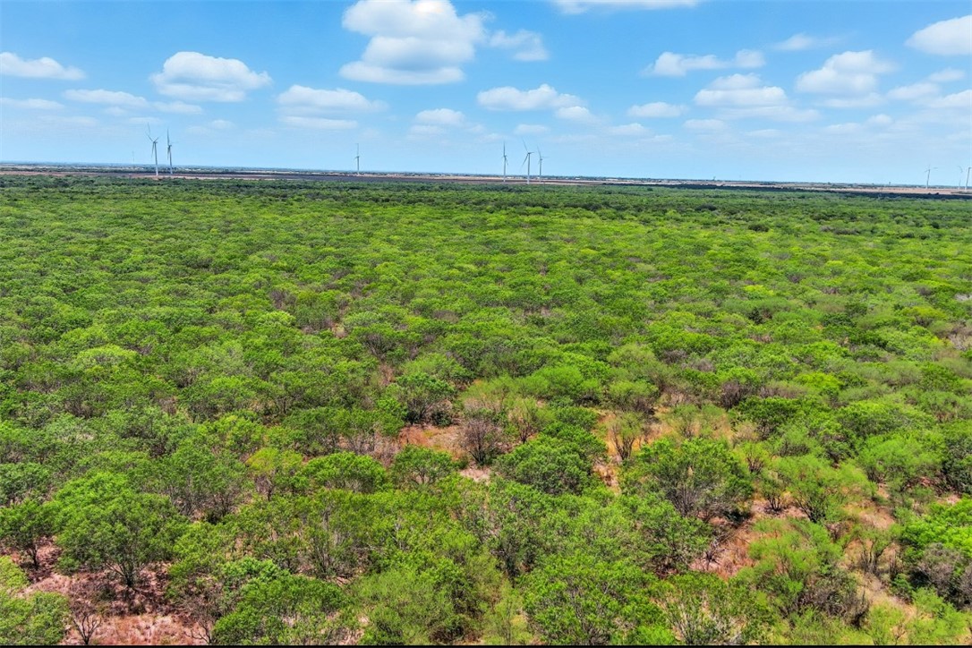 21316 County Road 798 Mathis, TX 78368 - Photo 1 of 13