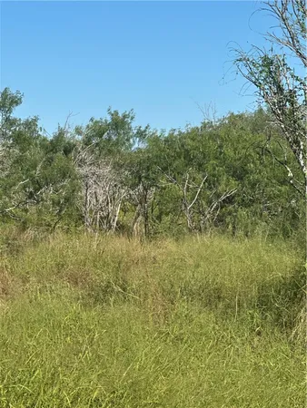a view of a field of grass and trees