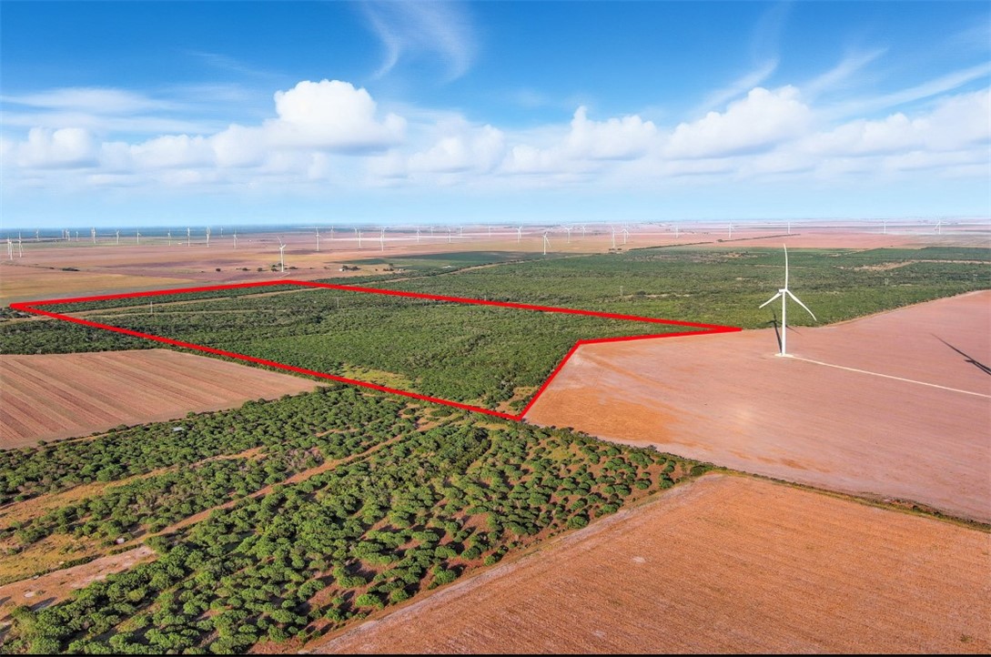 21316 County Road 798 Mathis, TX 78368 - Photo 2 of 13