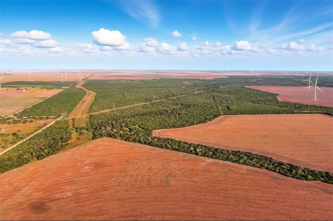 21316 County Road 798 Mathis, TX 78368 - Photo 3 of 13
