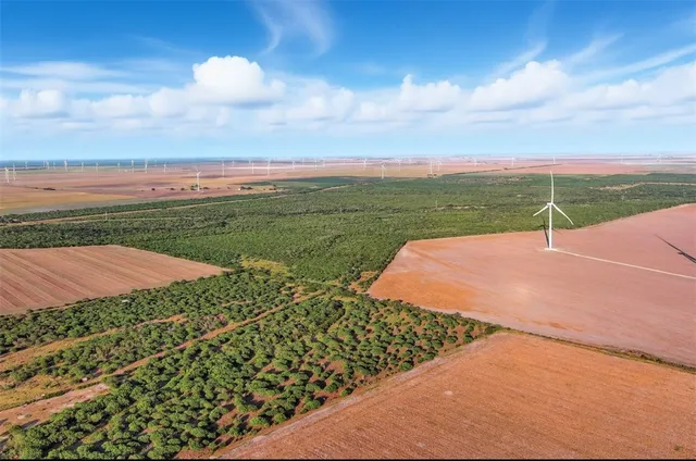 $1,498,900 | 21316 County Road 798, Mathis, TX 78368