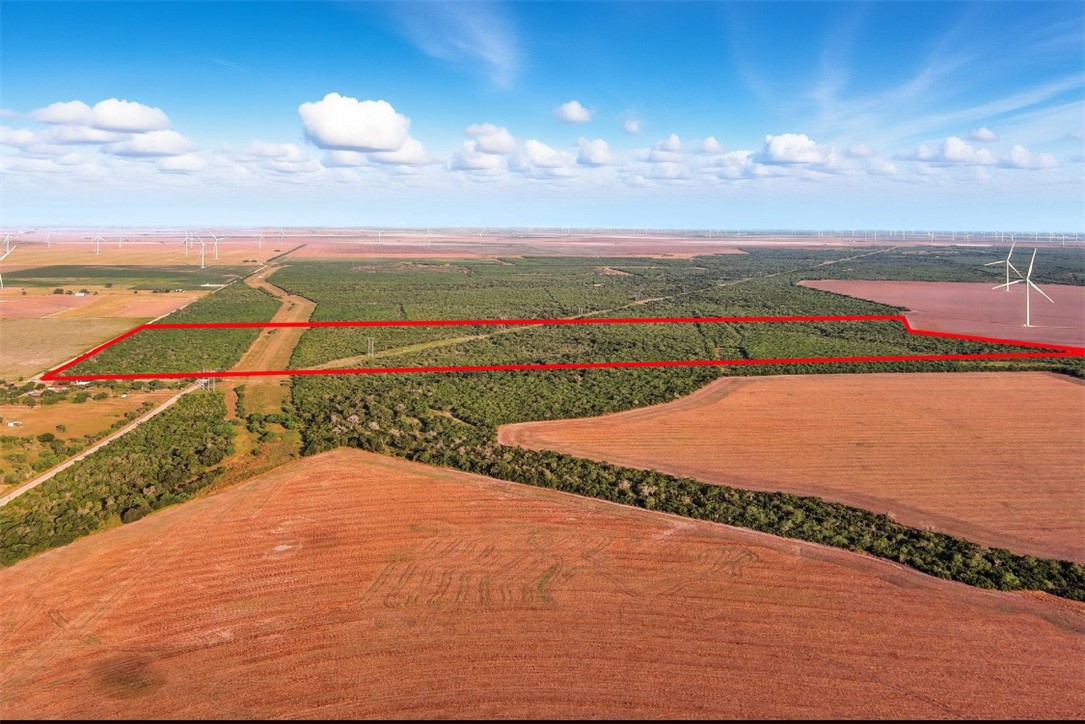 21316 County Road 798 Mathis, TX 78368 - Photo 7 of 13