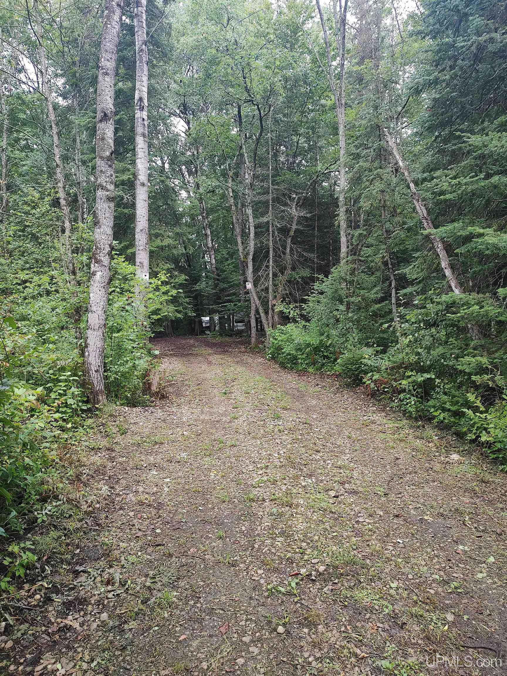 387 Rd Mcmillan Mi 49853 Road Newberry, MI 49868 - Photo 15 of 78