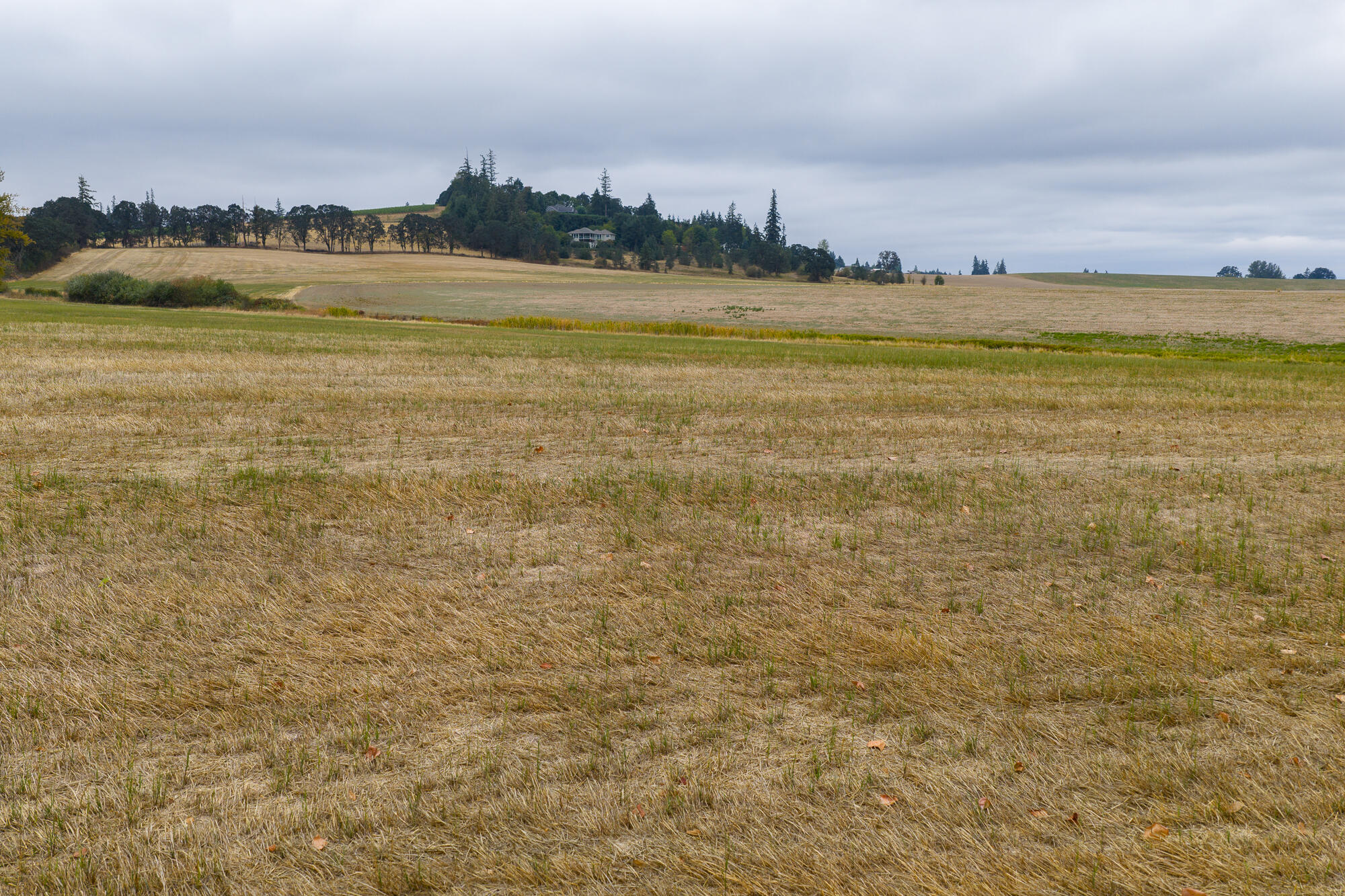 0 Oak Grove Albany, OR 97321 - Photo 13 of 35