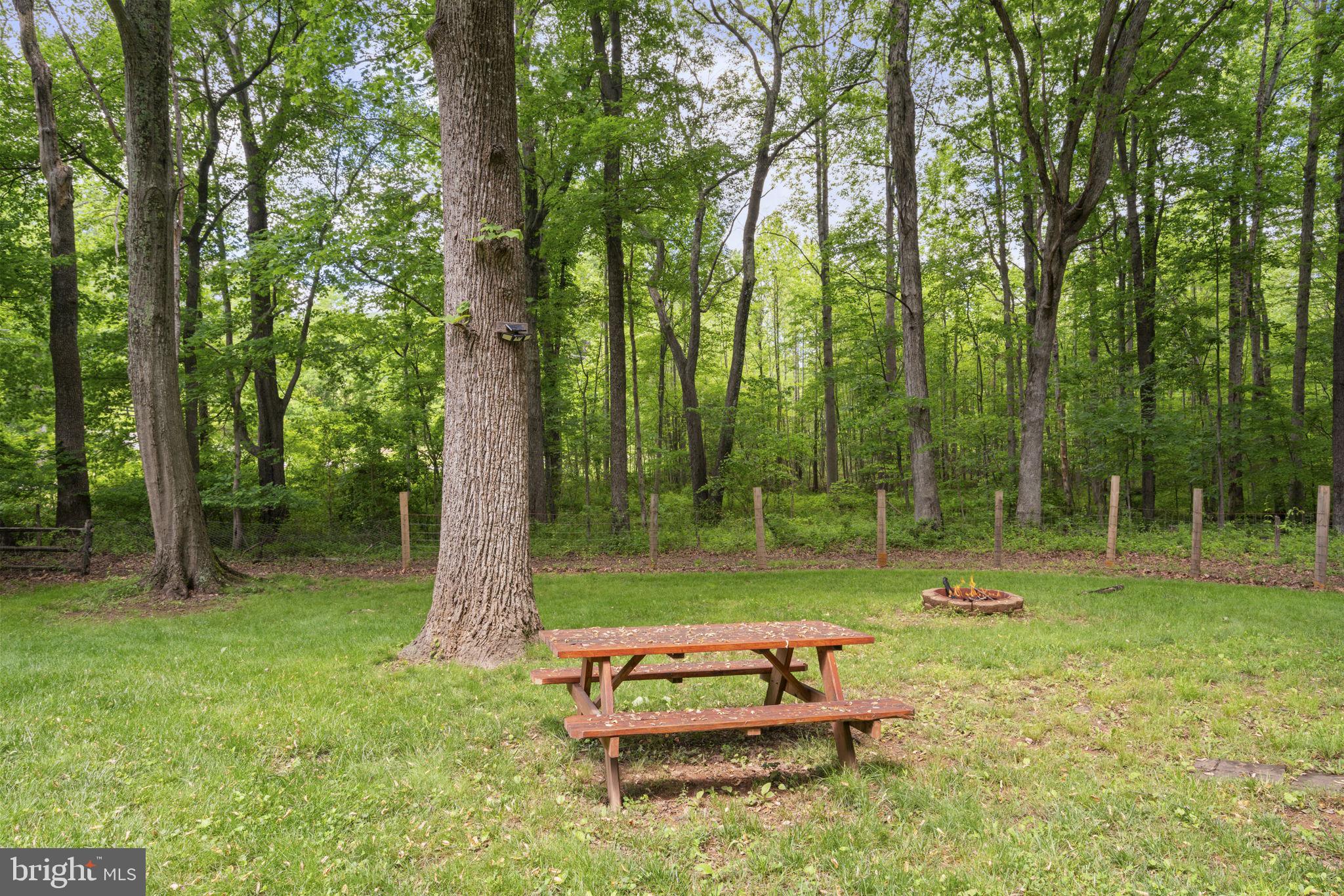 5755 Pilgrims Rest Road Broad Run, VA 20137 - Photo 40 of 49 Plenty of room to entertain around the fire pit