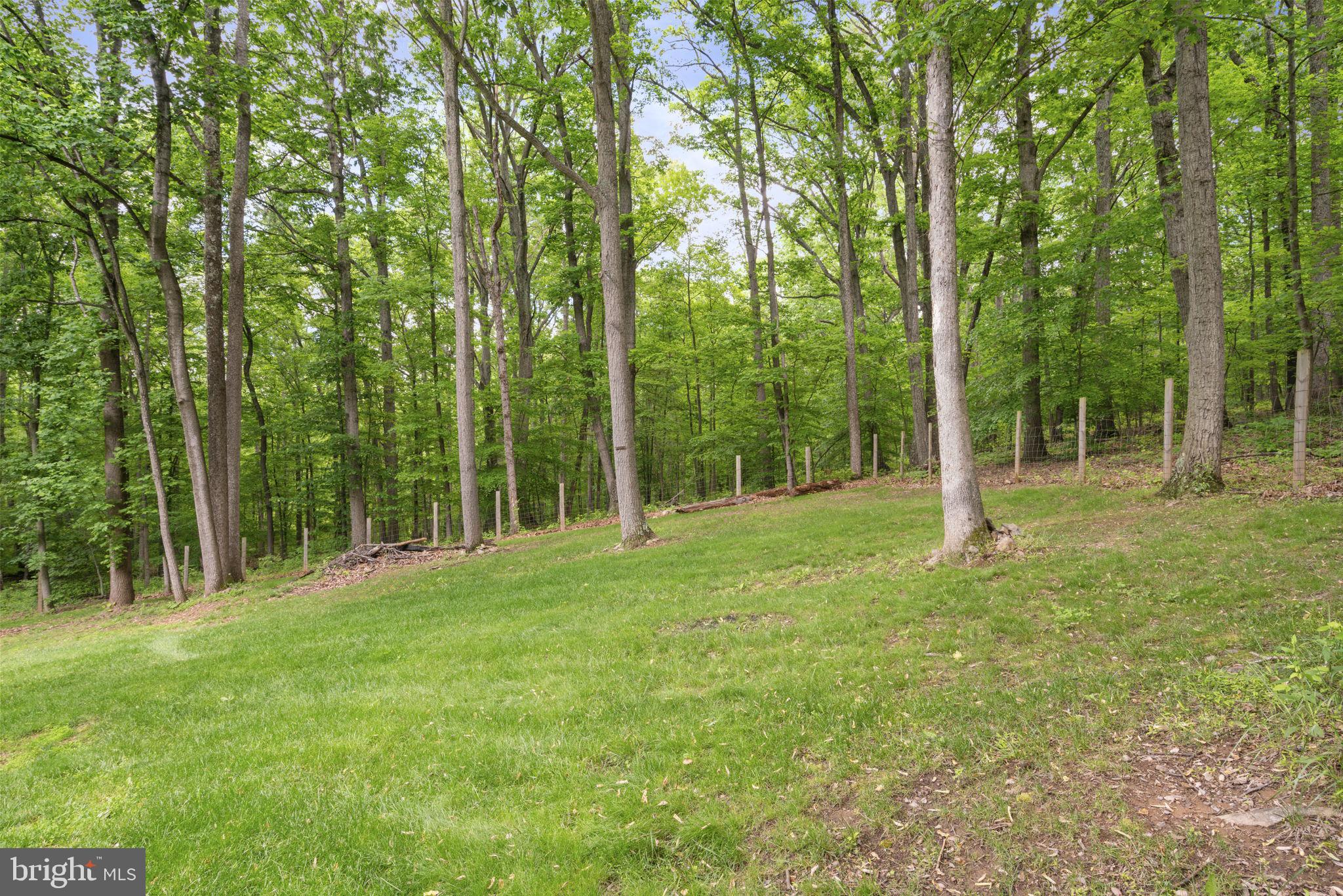 5755 Pilgrims Rest Road Broad Run, VA 20137 - Photo 44 of 49 Gallery Image 44