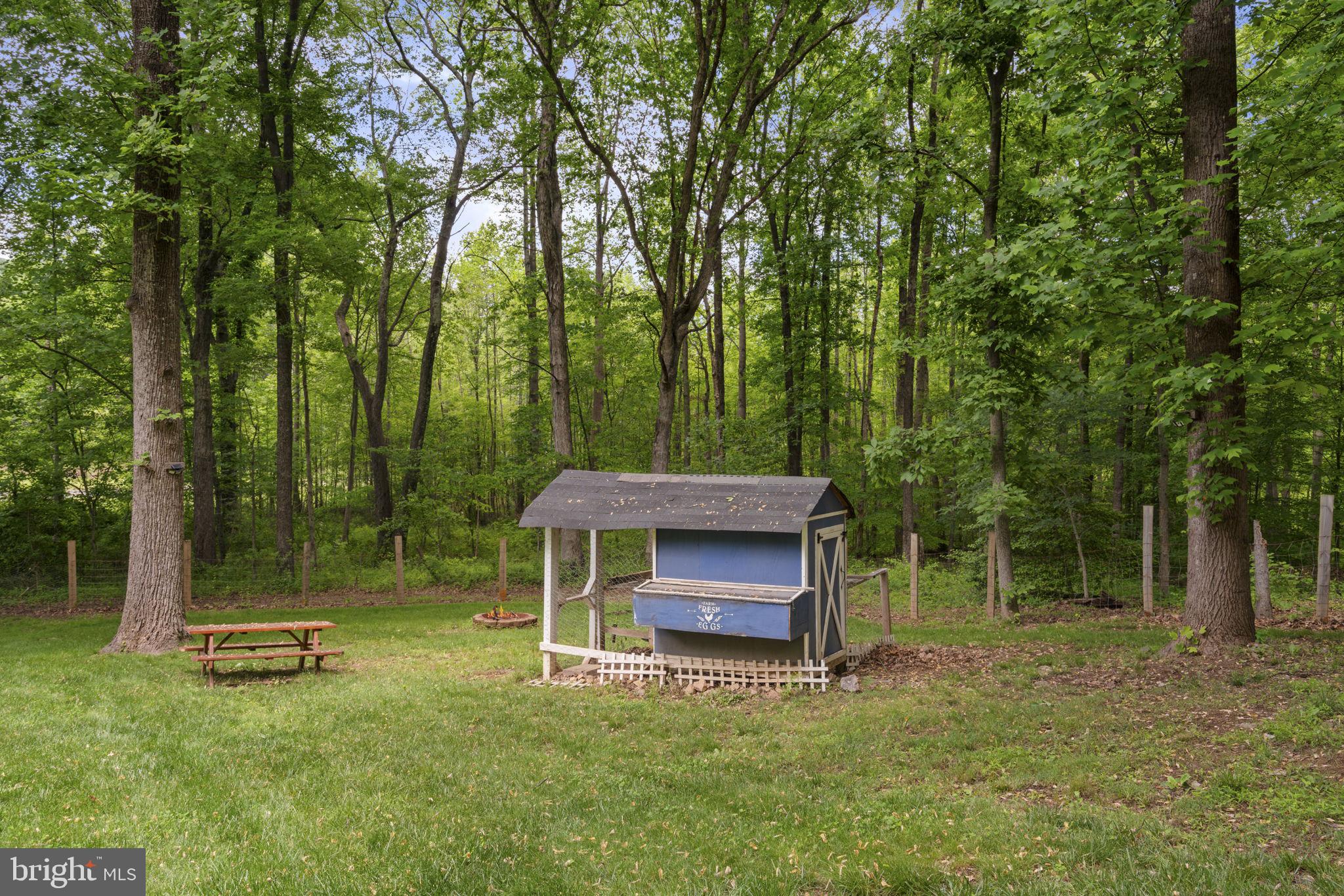 5755 Pilgrims Rest Road Broad Run, VA 20137 - Photo 45 of 49 Bring your Chickens!
