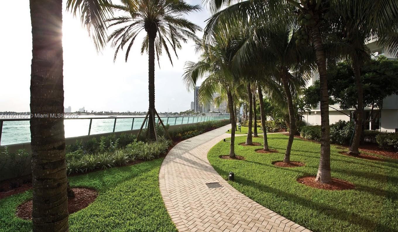 1500 Bay Road, Unit 1558S Miami Beach, FL 33139 - Photo 48 of 54 a view of a park with palm trees