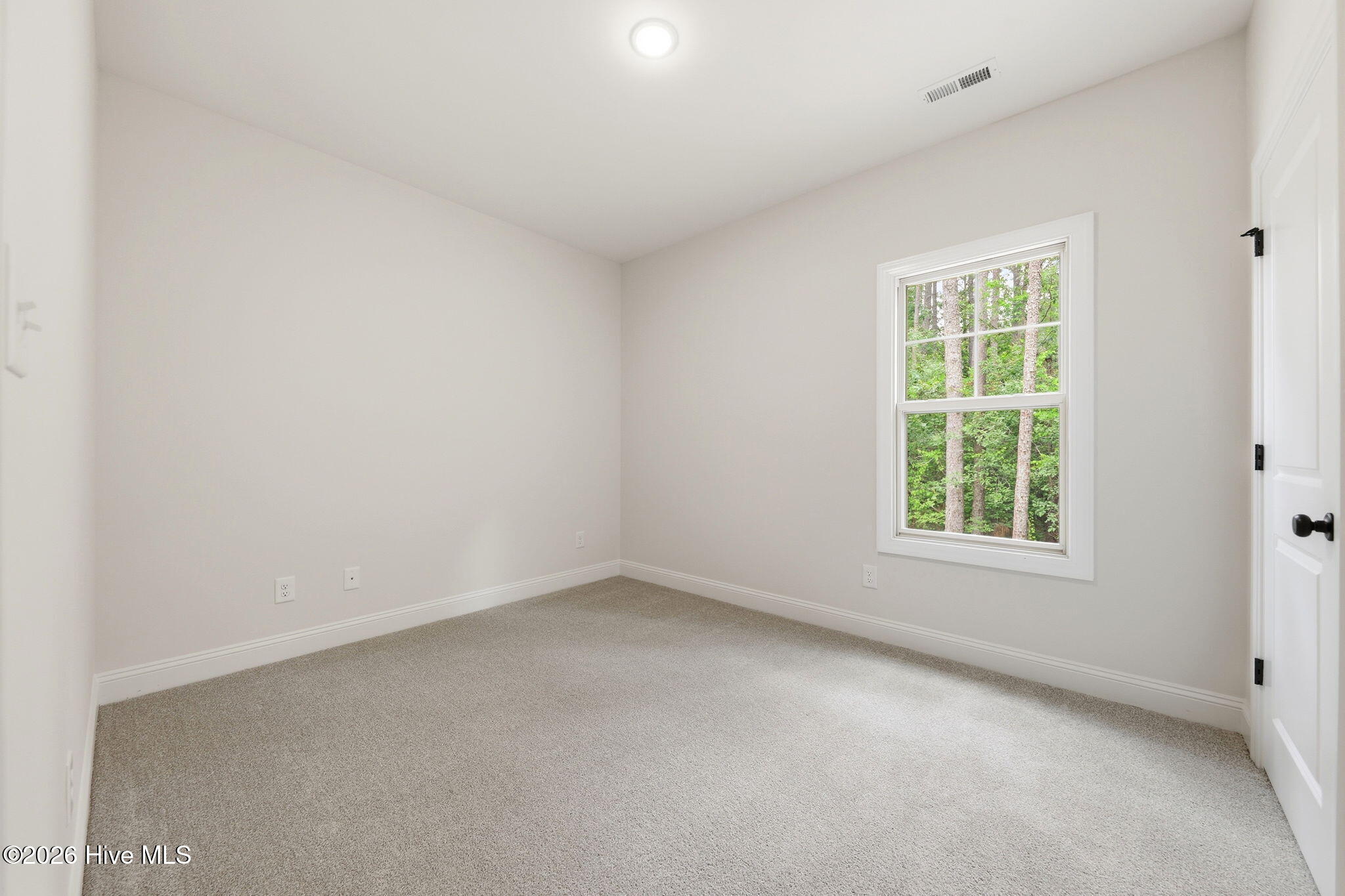 16651 Rabbit Run Court Wagram, NC 28396 - Photo 22 of 37