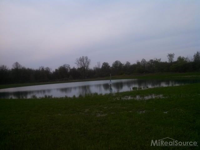 10460 Foley Road Avoca, MI 48006 - Photo 7 of 8 This is another view of the pond.